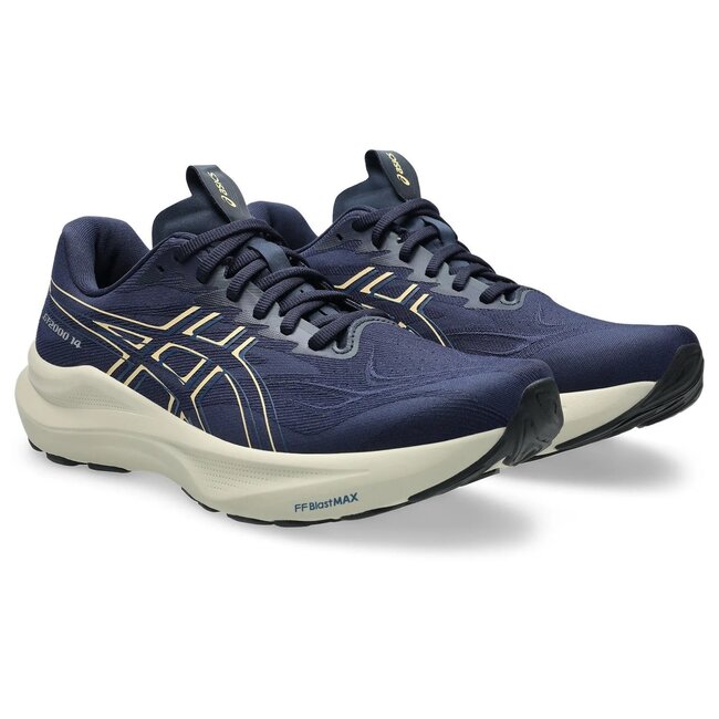 Asics Men's GT-2000 14