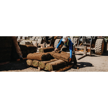 Sod & Artificial Turf