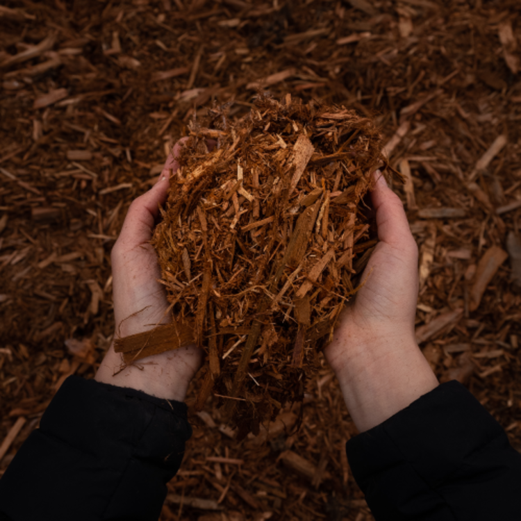 Cedar Mulch Red Cedar Mulch for Landscaping CLS Landscape Supply