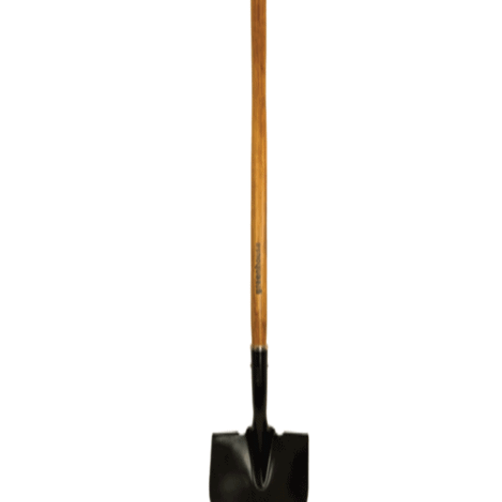 Hdx shovel 2024