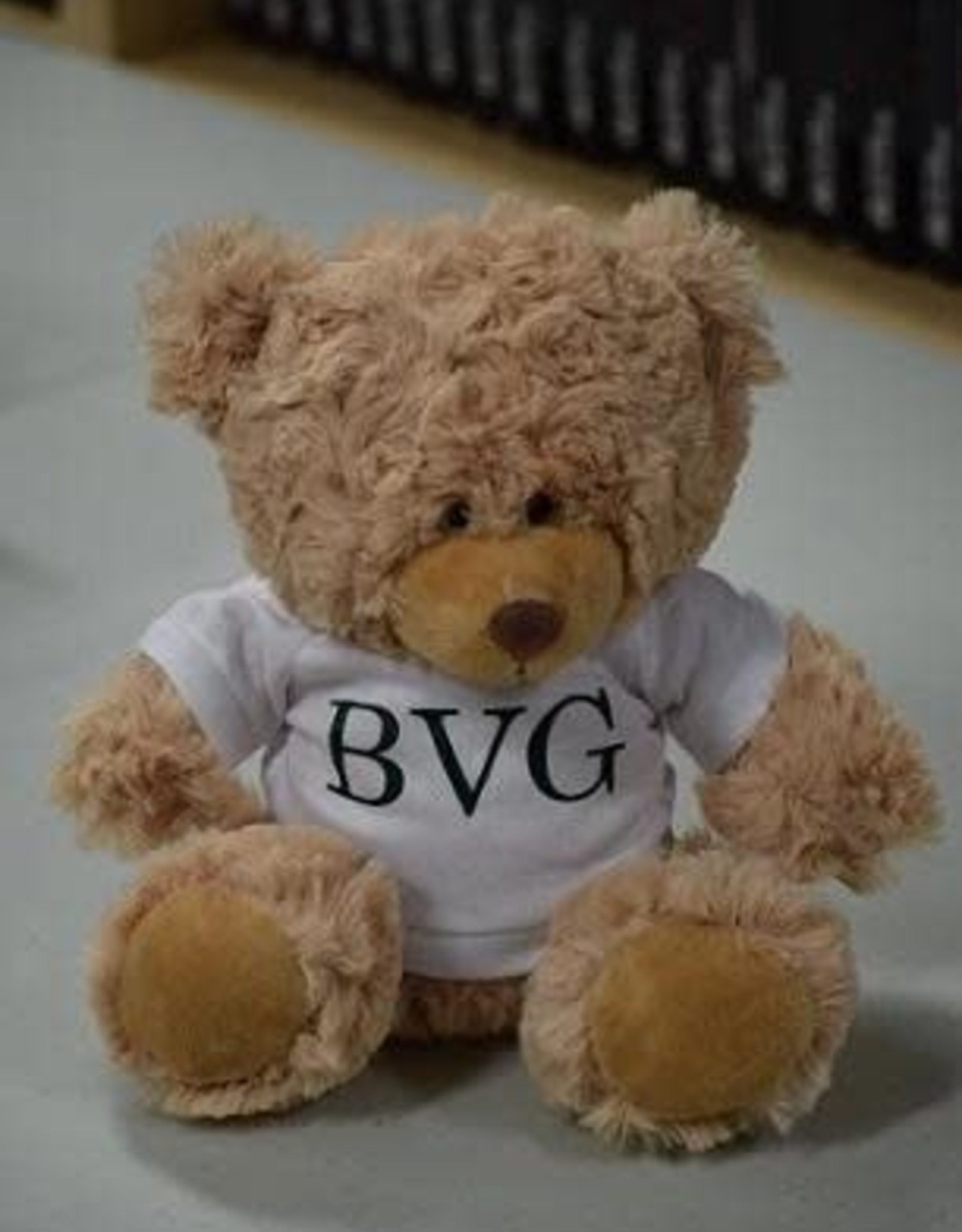 Teddy w/ BVG Tshirt