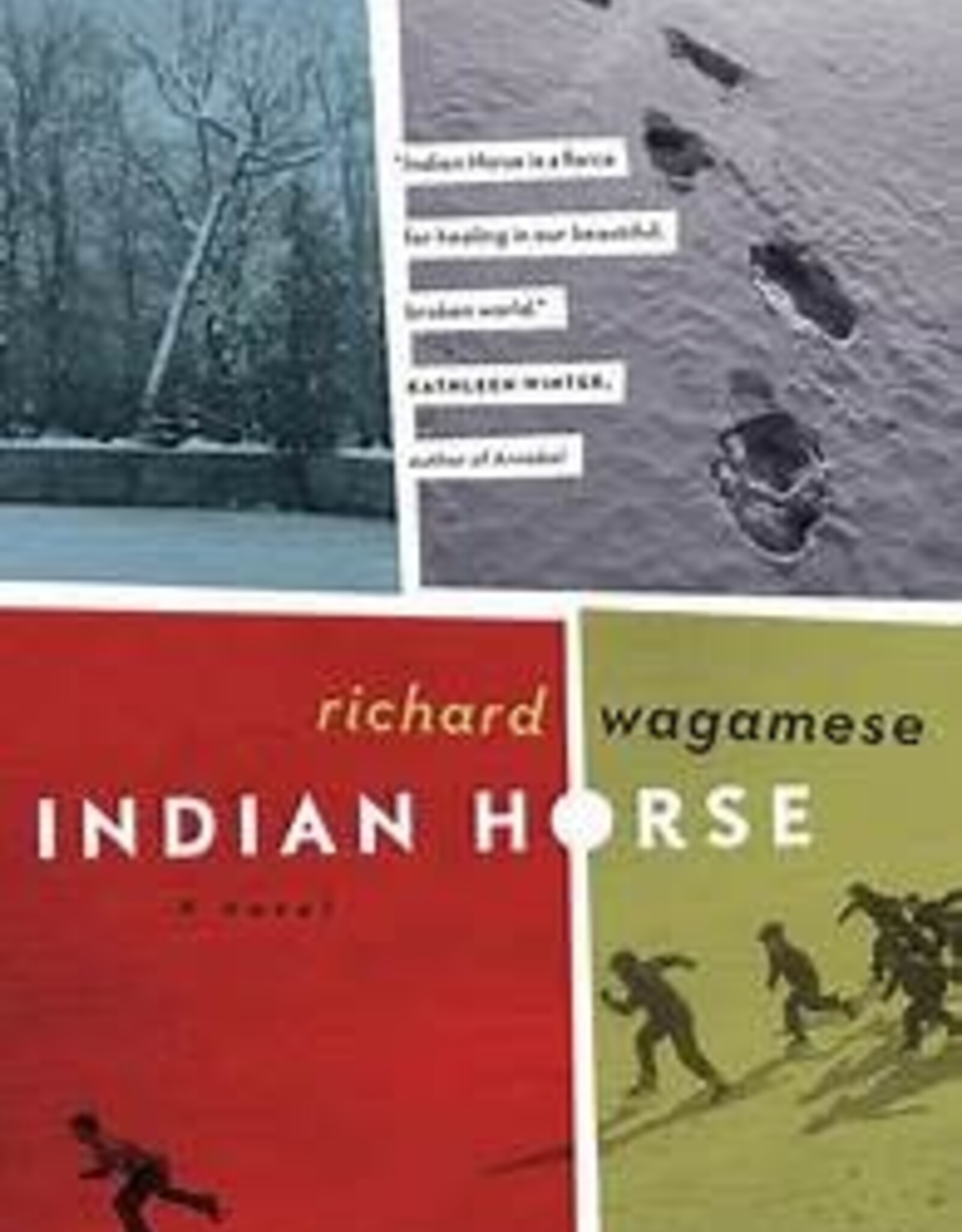 Indian Horse