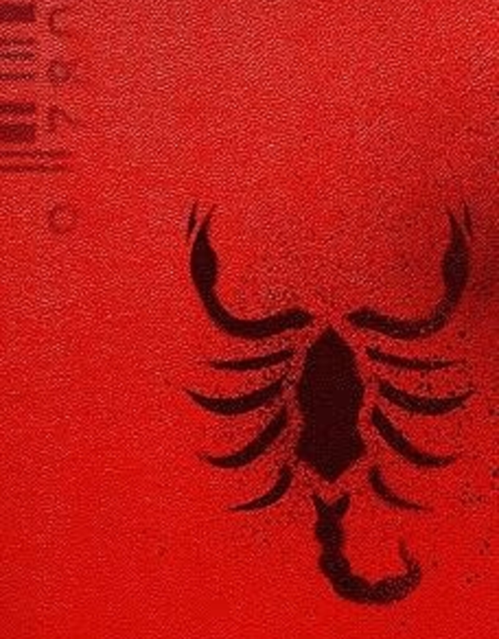 The House of Scorpion