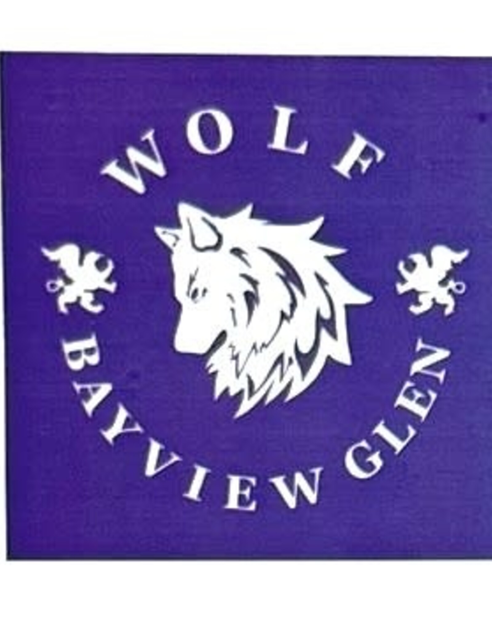 House League Temporary Tattoos