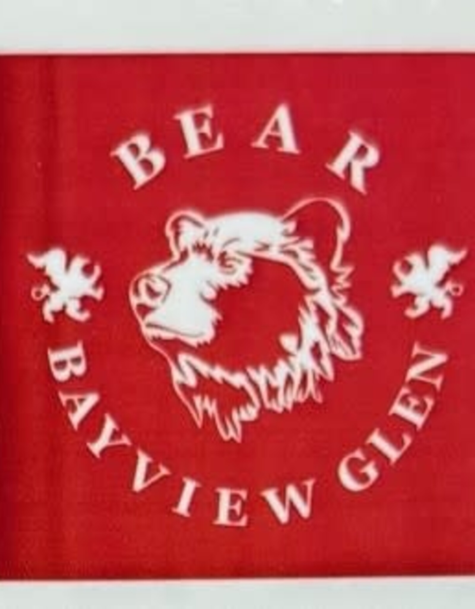 House League Temporary Tattoos