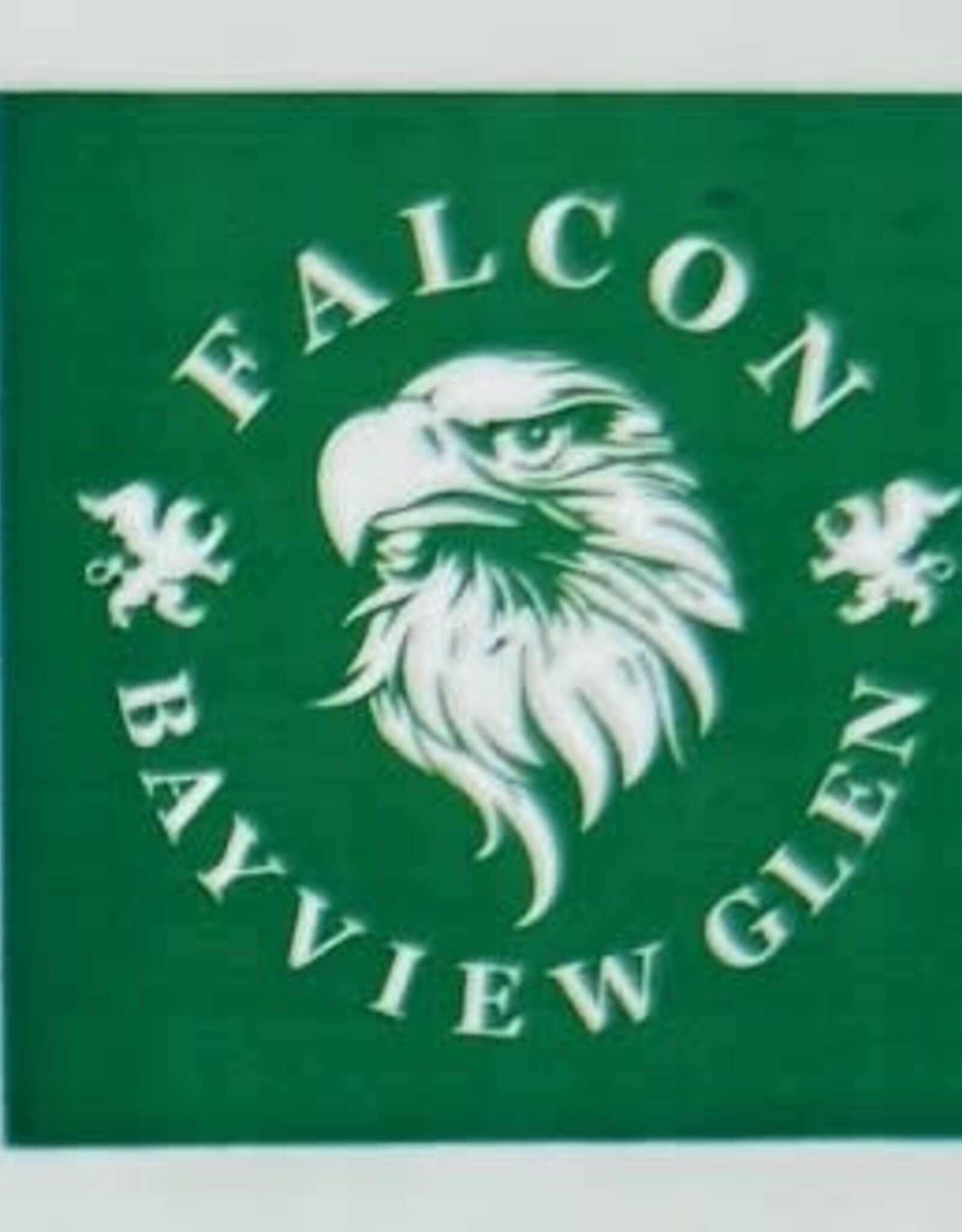 House League Temporary Tattoos