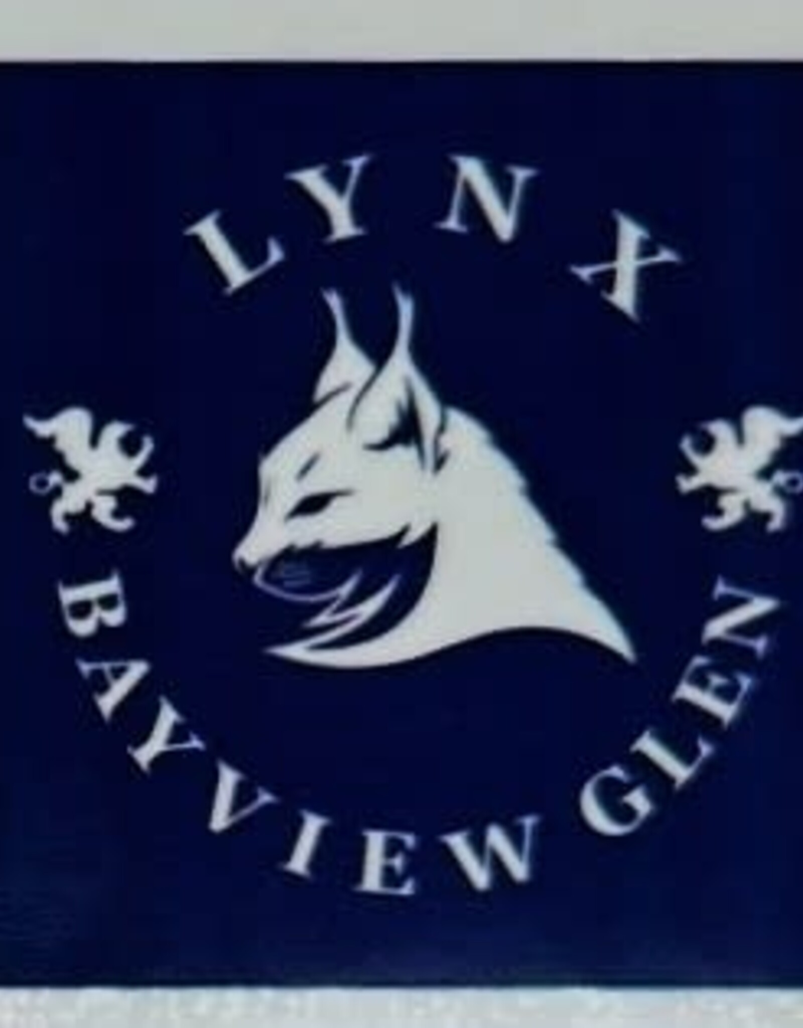 House League Temporary Tattoos