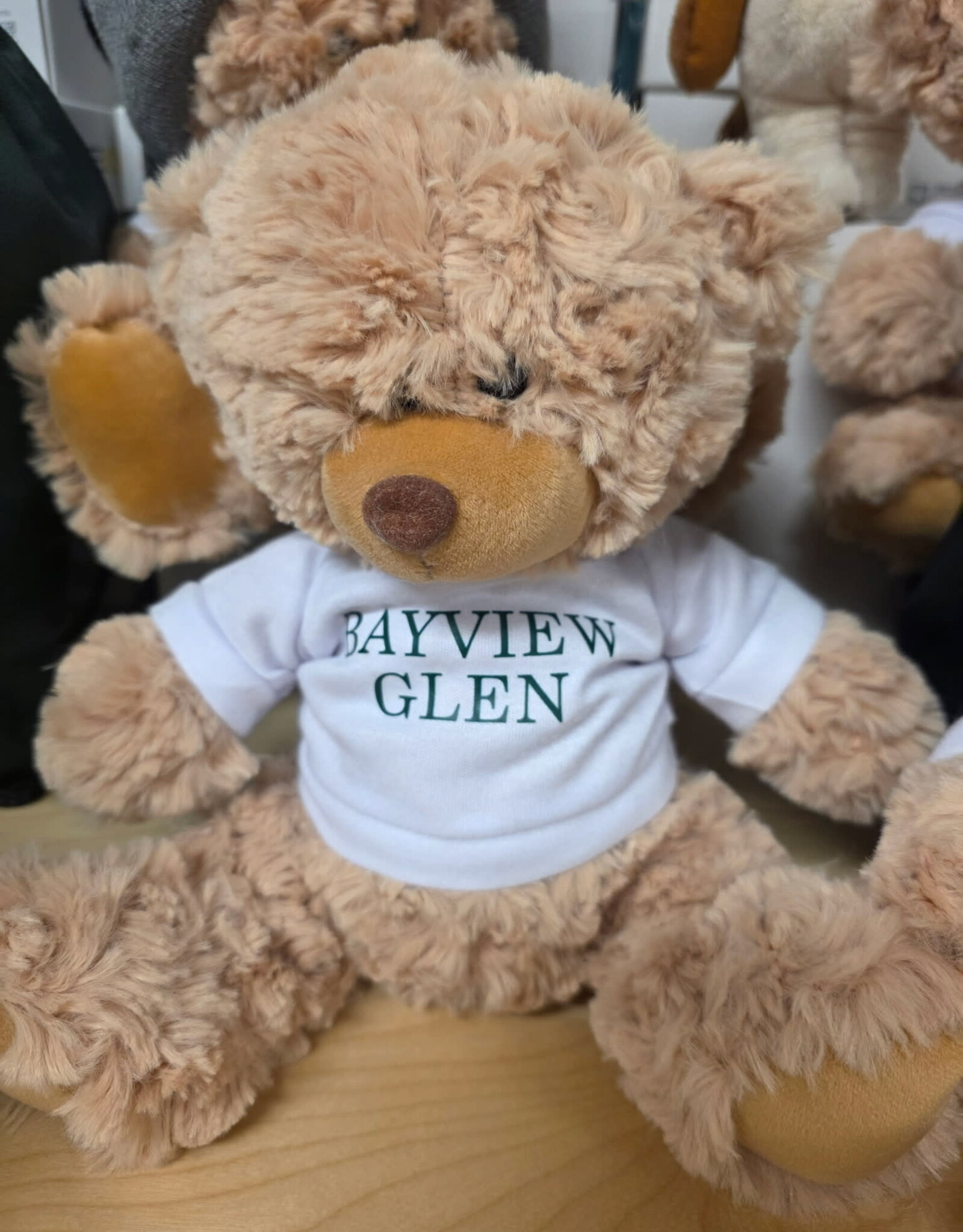 Teddy w/ Bayview Glen Tshirt