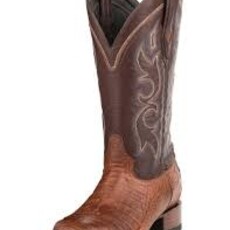 Stetson Stetson | Branson Caiman Belly Boot | Brown