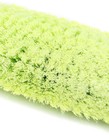 STATESIDE EQUIPMENT Stateside Wash Brush 12" Heavy Duty Green Tri-Level