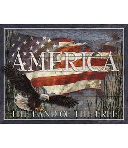 TIN SIGNS AMERICAN LAND OF FREE