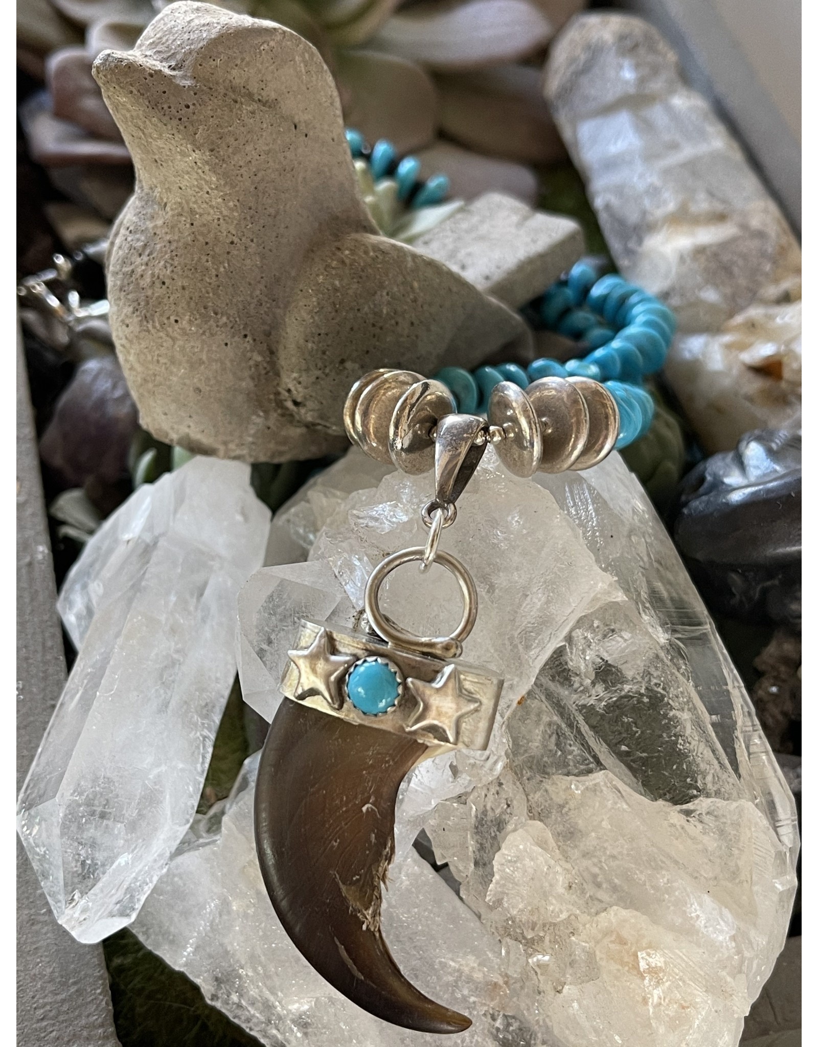 Real Bear Claw Turquoise Necklace by 
