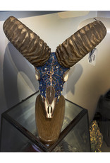 Kelly Nygard Mouflon - Decorated Sheep Skull - Kelly Nygard