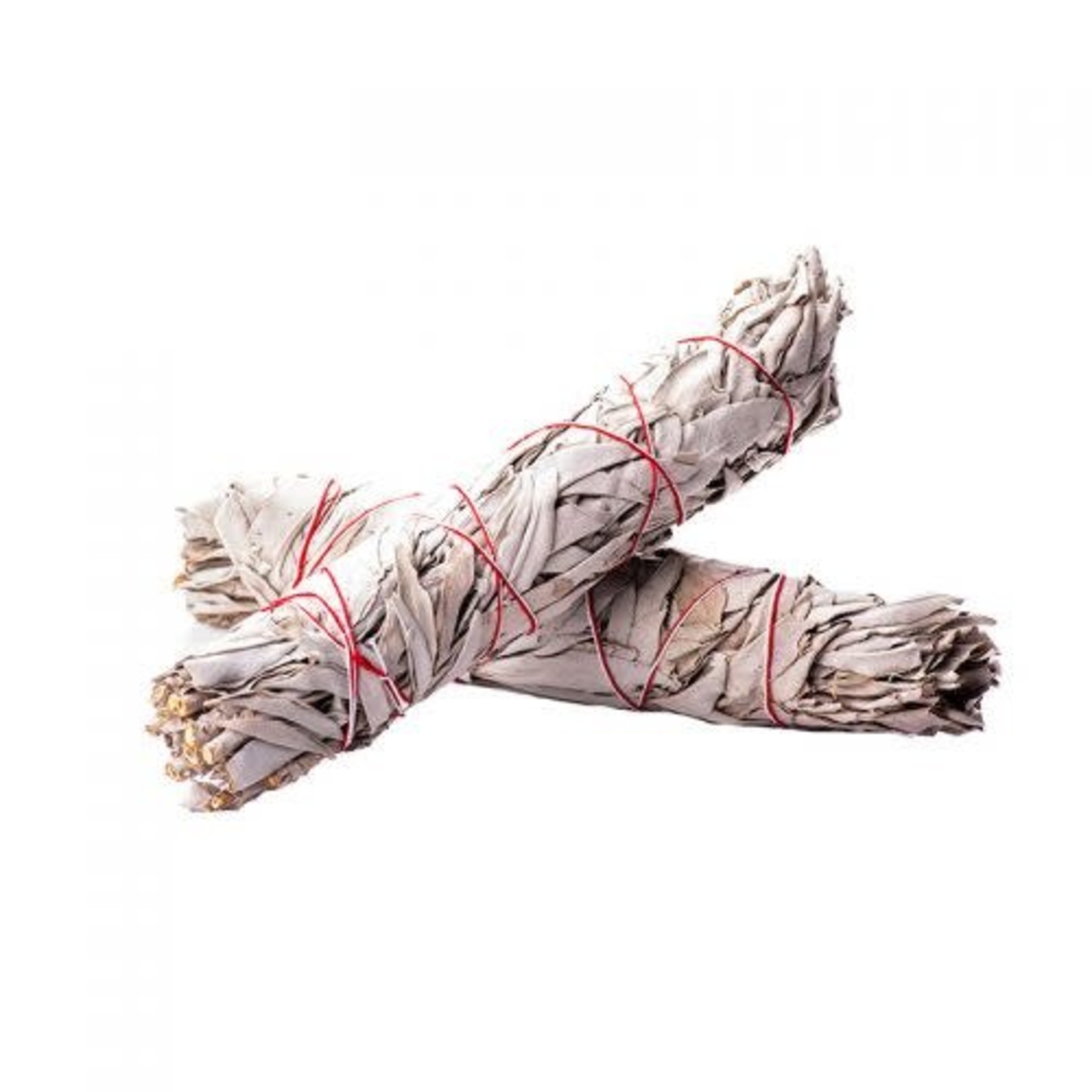 White Sage Smudge Stick 8" 9" Large