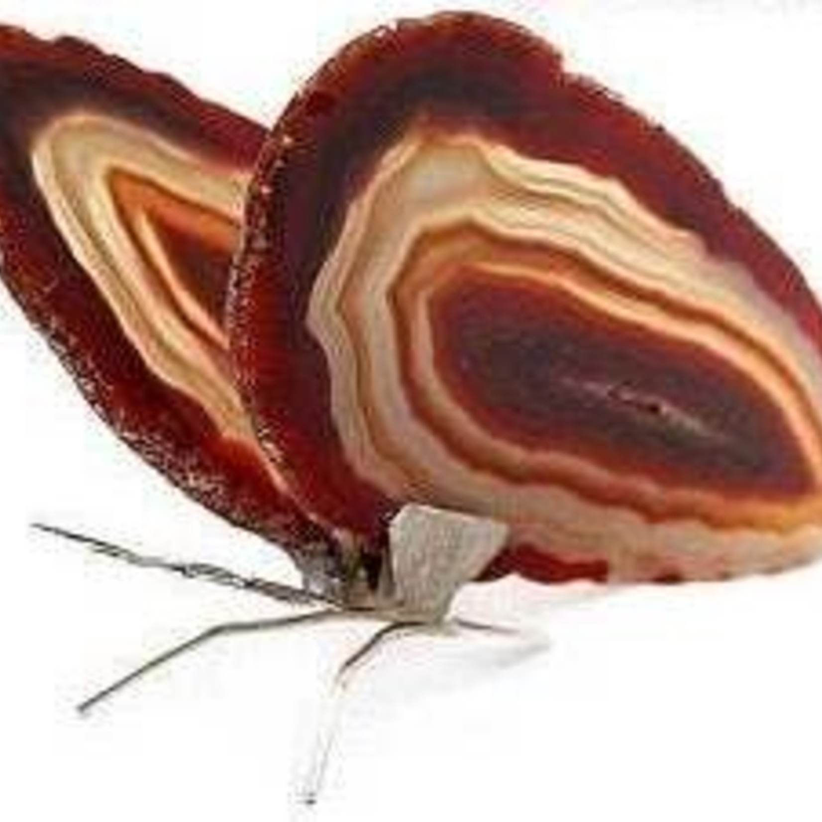 Red Agate Slice Butterfly