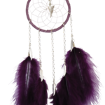 Dream Catcher - Purple - with chain and hackle feathers.