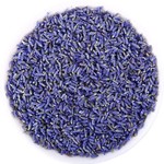Blue Lavender Dried Buds Large