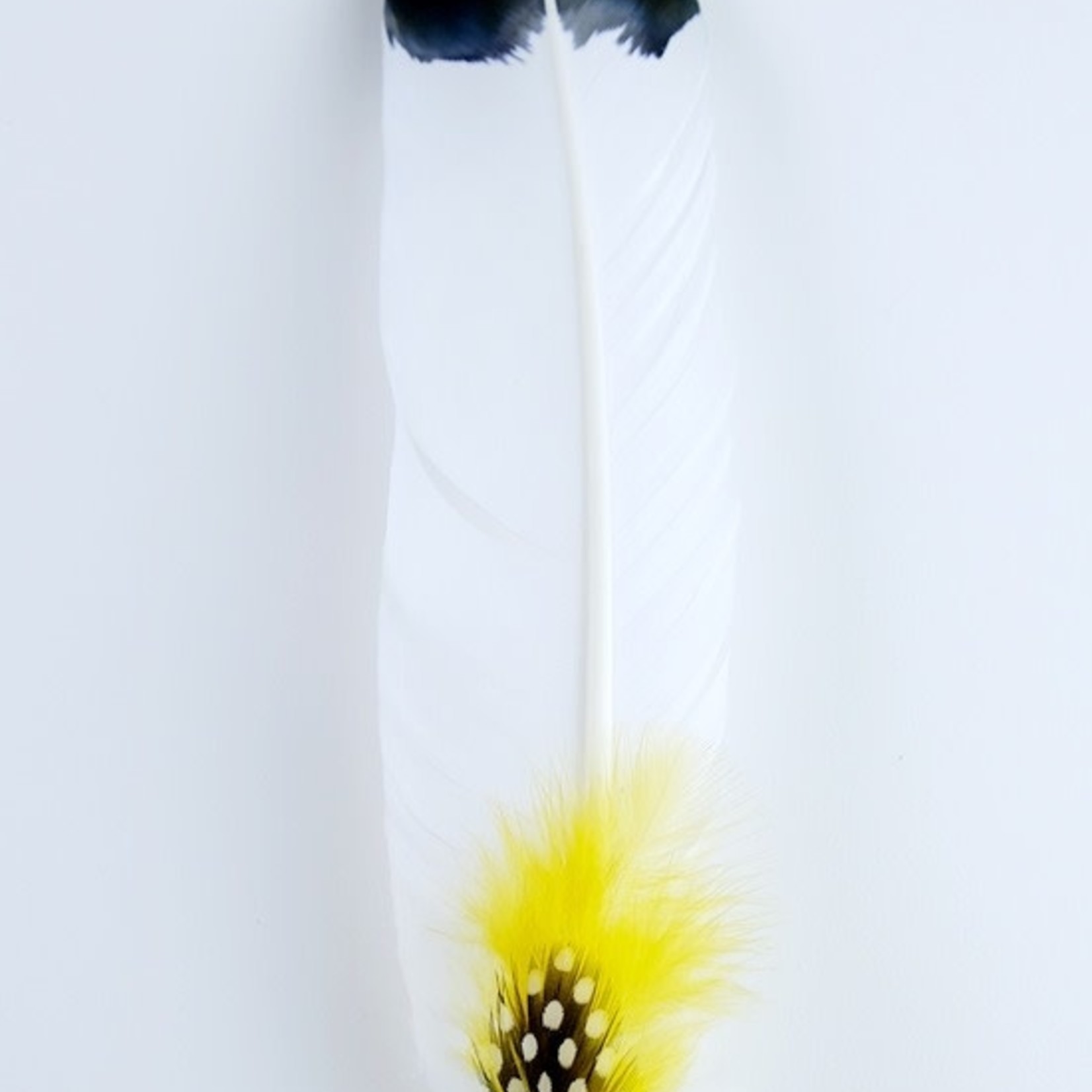Smudging Feathers- Yellow-Clarity