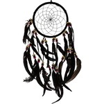 "Black Magic" Dreamcatcher (8.5")