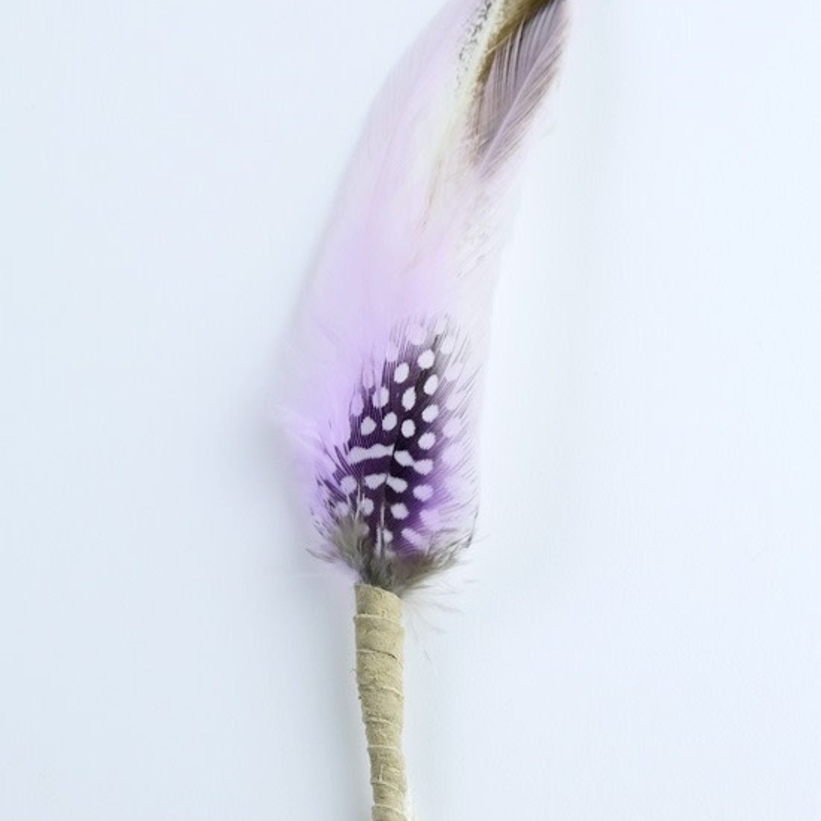 Smudging Feather White - Inspiration