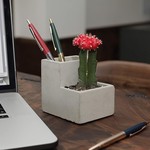 Desktop Planter/ Pen Holder