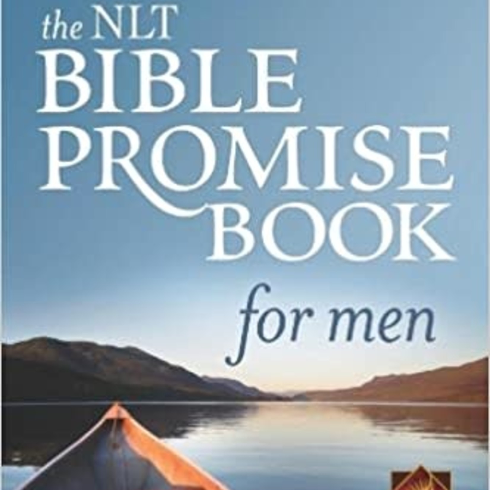 The NLT Promise Bible Book - for men