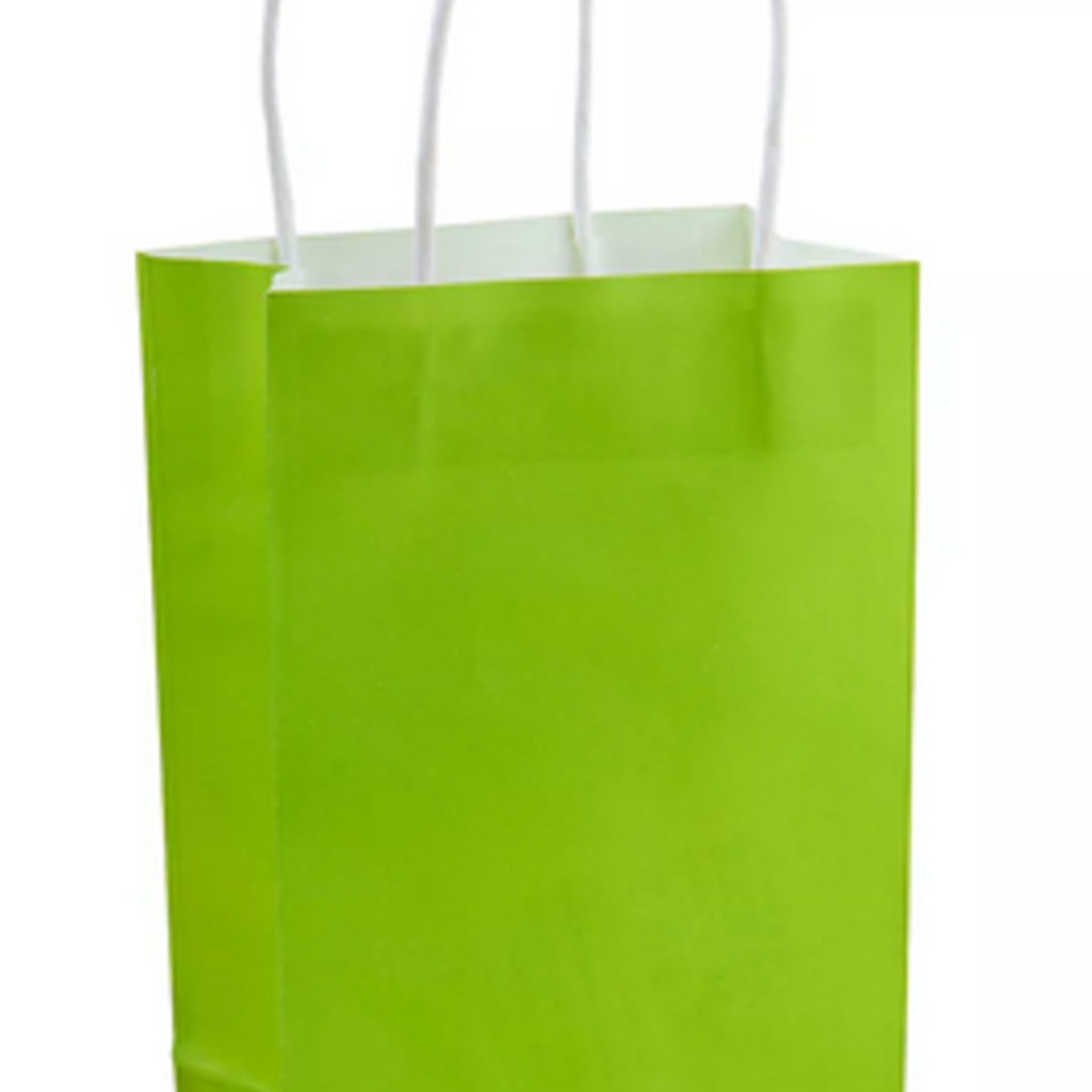 Paper Gift Bag Green