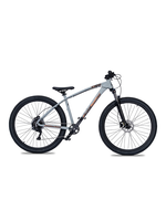 COLLECTIVE COLLECTIVE C100 V3 29" H/T MTN BIKE -