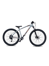 C100 collective bikes hotsell