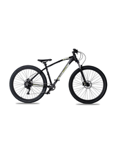 C100 mtb memirial bike