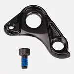 Specialized MY21 ROAD DISC, LIGHTWEIGHT ROAD THRU-AXLE DERAILLEUR HANGER, W/ BOLT