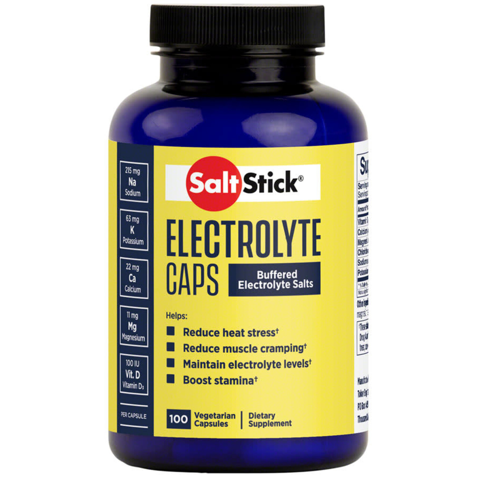 SaltStick SALTSTICK ELECTROLYTE CAPS 100 caps