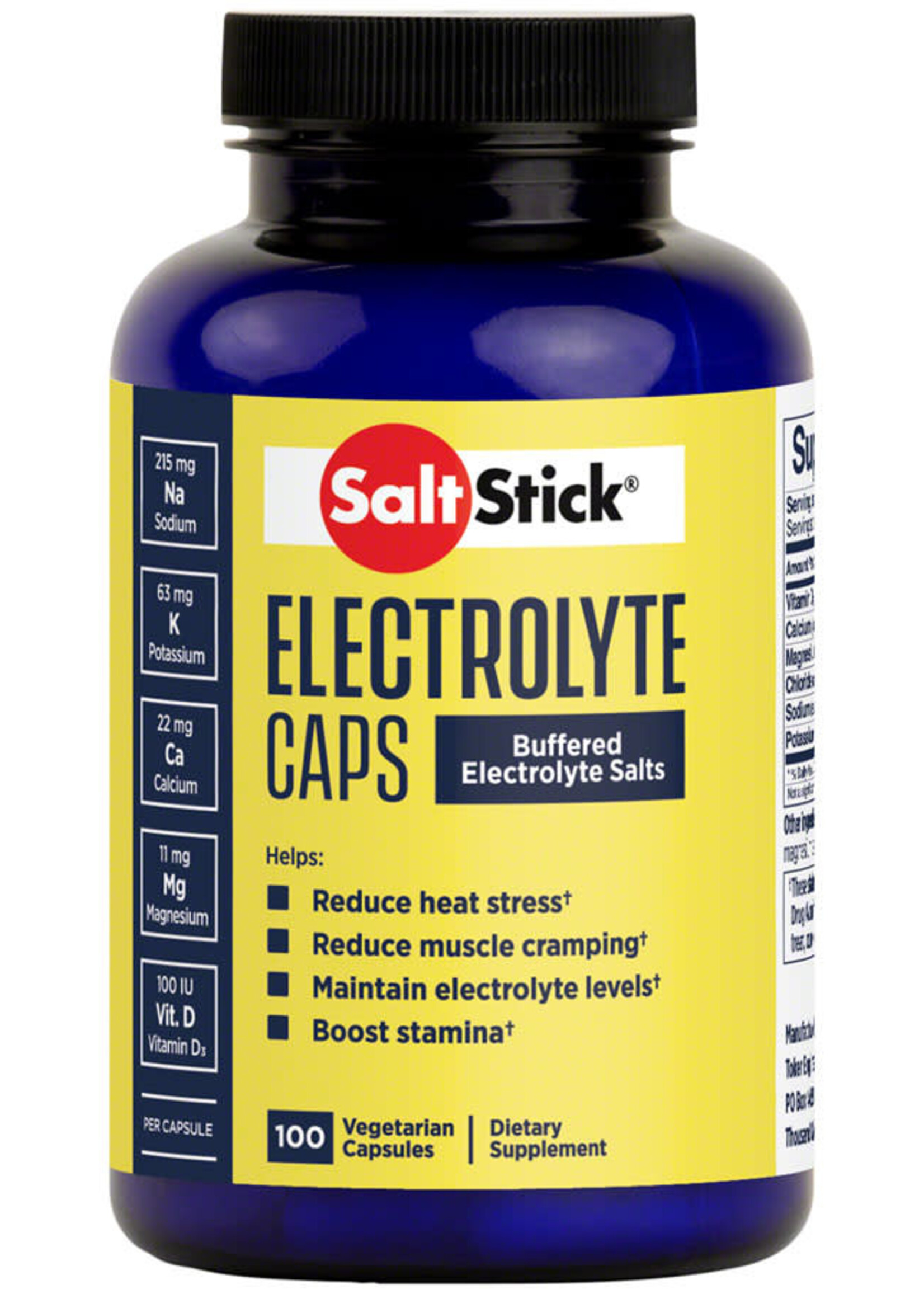 SaltStick SALTSTICK ELECTROLYTE CAPS 100 caps