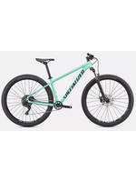 Specialized 2021 ROCKHOPPER COMP 29er