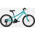 Specialized 21 HOTROCK 20 ACDMNT/BLK 9
