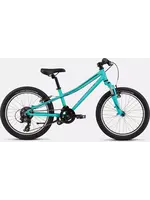 Specialized 21 HOTROCK 20 ACDMNT/BLK 9