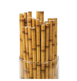 BAMBOO PAPER STRAWS - 24 PACK