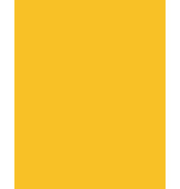 DIXON BRAND OAK TAG: 22x28, FLUORESCENT  ORANGE