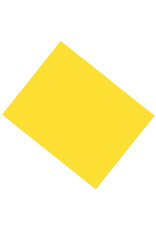 OAK TAG 22x28 - PREMIUM - YELLOW
