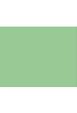 OAK TAG: 22”x28”  LIGHT GREEN