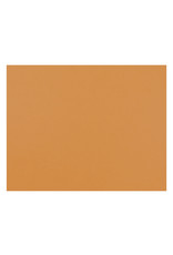 OAK TAG: 22x28, REGULAR ORANGE
