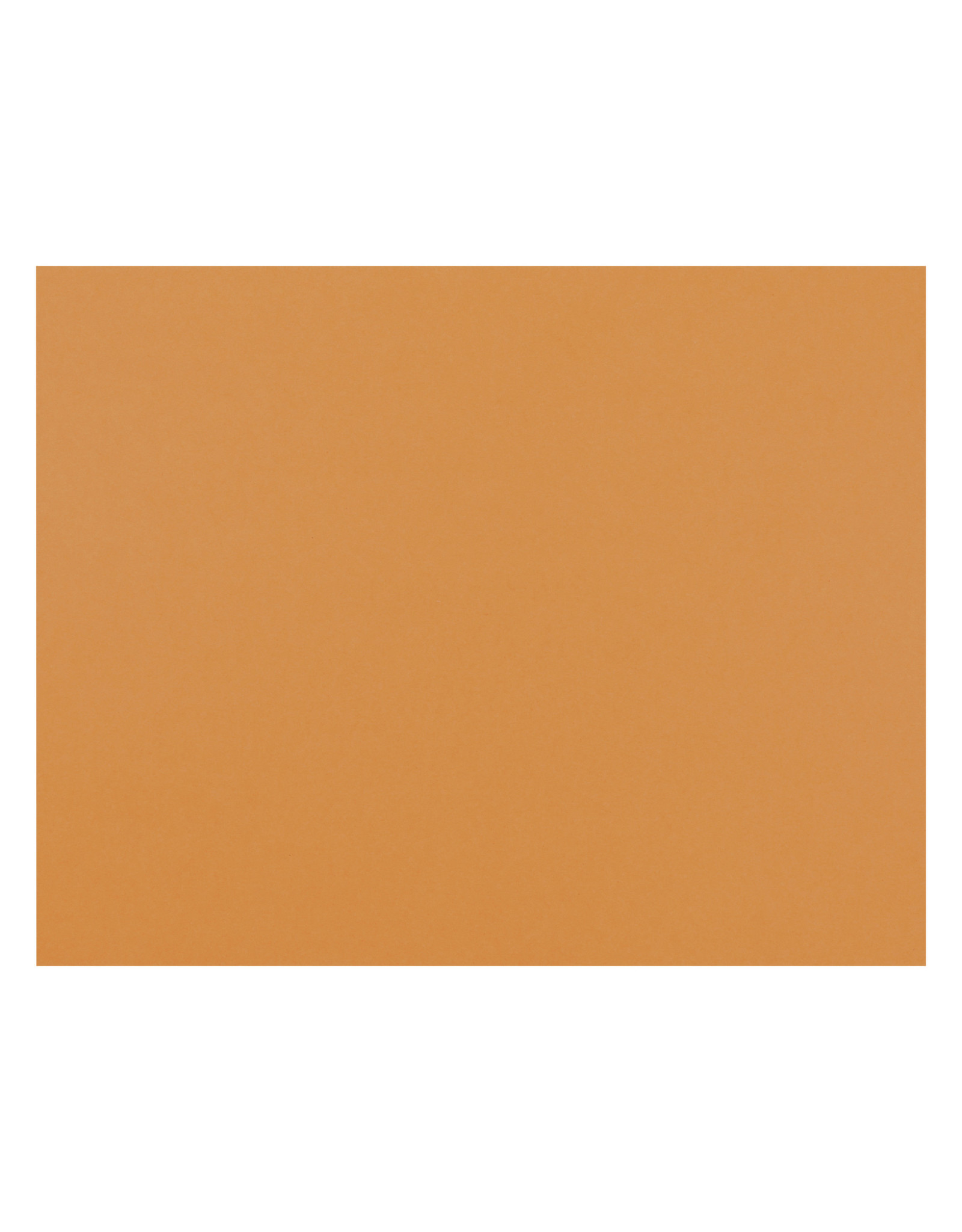 OAK TAG: 22x28, REGULAR ORANGE