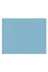 OAK TAG: 22x28, REGULAR LIGHT BLUE