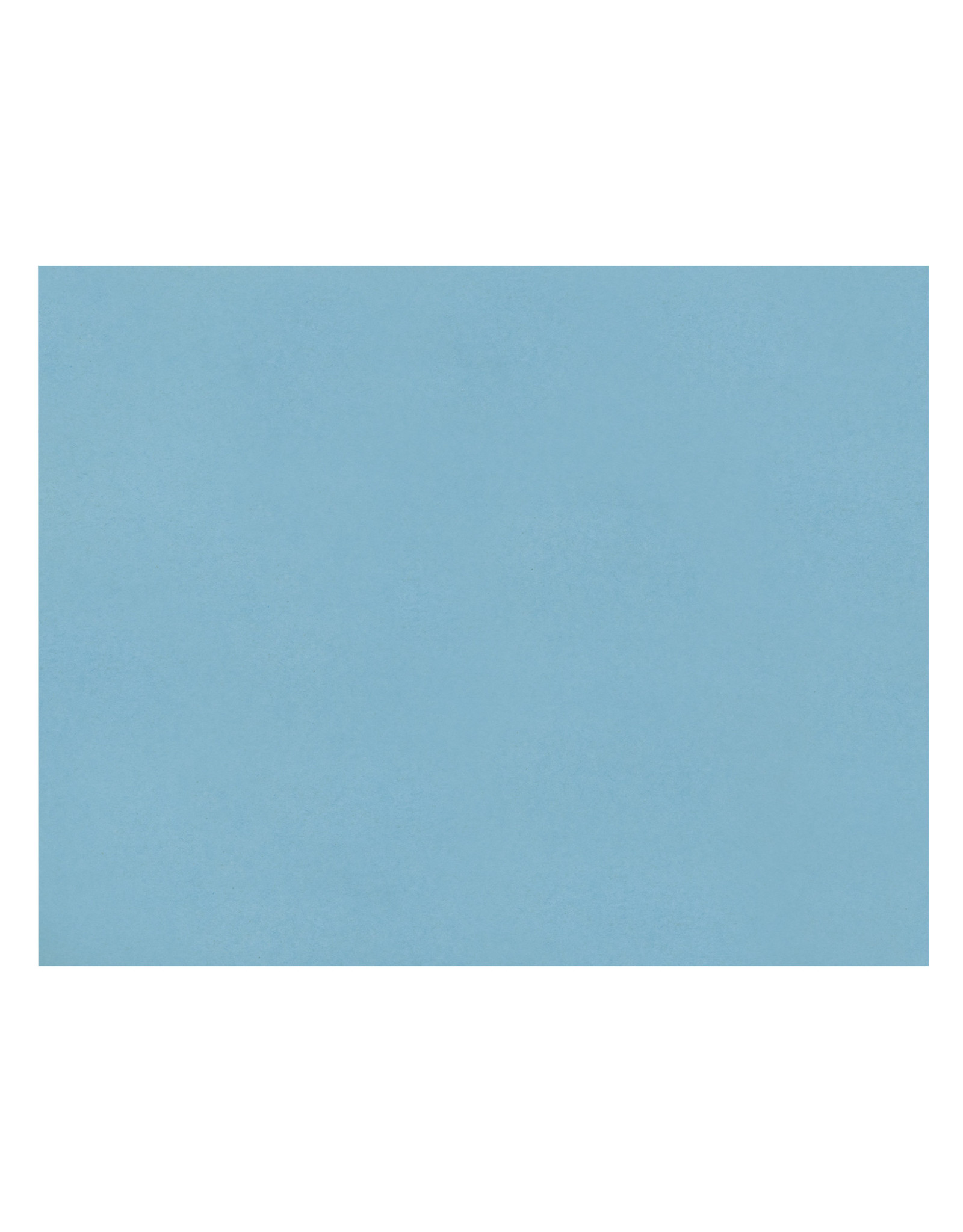 OAK TAG: 22x28, REGULAR LIGHT BLUE
