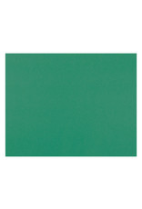 OAK TAG: 22x28, REGULAR GREEN