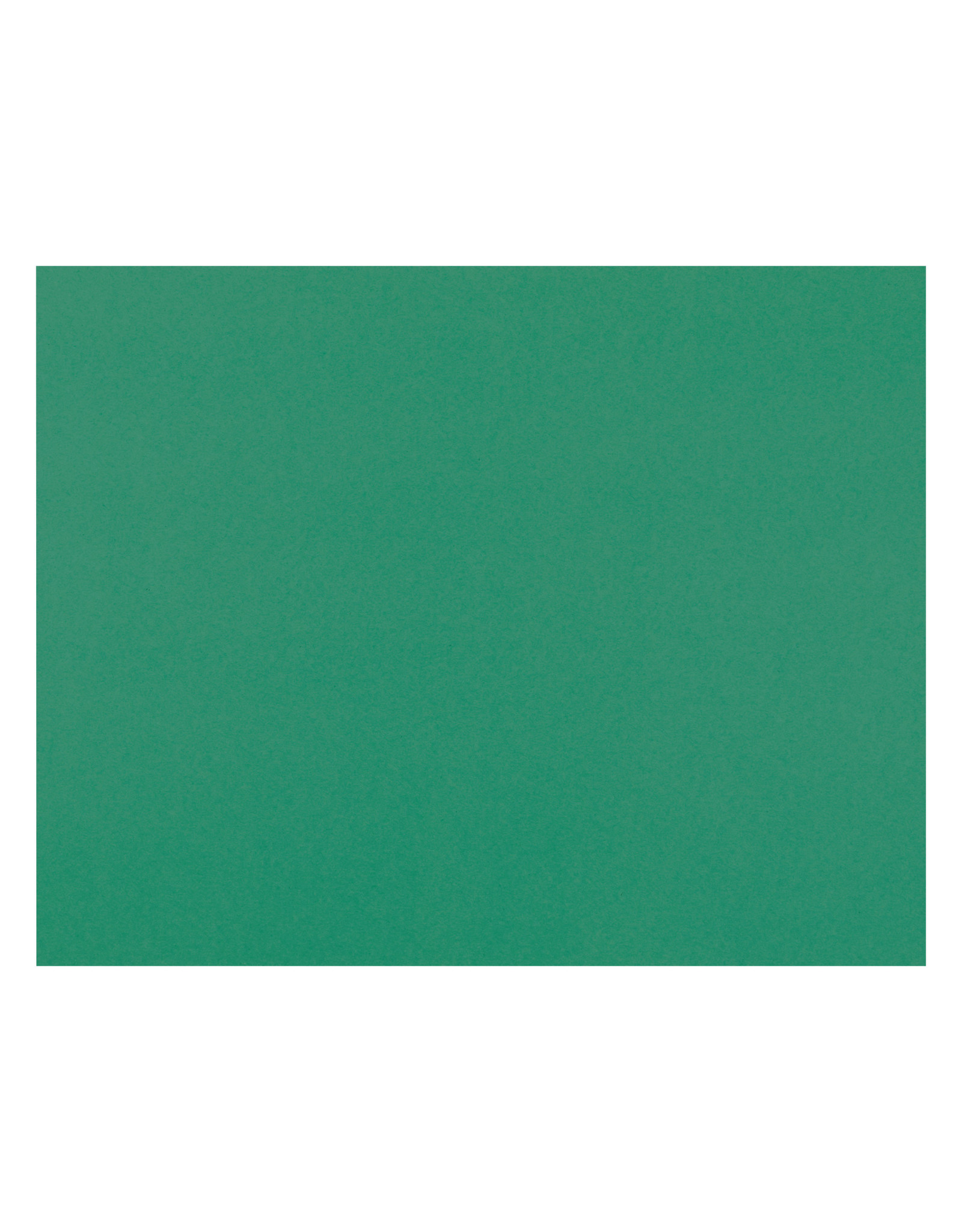 OAK TAG: 22x28, REGULAR GREEN
