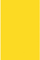 FOAM BOARD: 20"x30", YELLOW