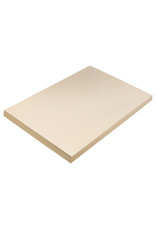 TAGBOARD - 12x18 MEDIUM WEIGHT, MANILA 100 SHEETS