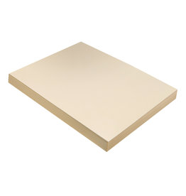 TAGBOARD - 9x12 MEDIUM WEIGHT- MANILA  100 SHEETS