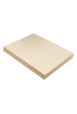 TAGBOARD - 9x12 HEAVY WEIGHT - MANILA 100 SHEETS